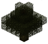 Каштан (TerraFirmaCraft).png